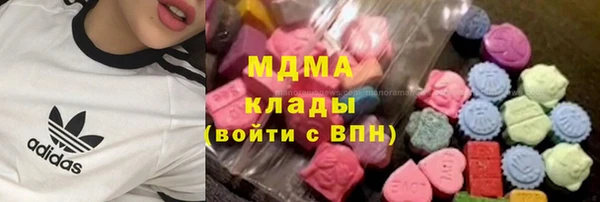 гидра Алексин