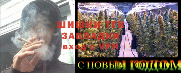 гидра Алексин