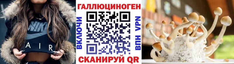 Псилоцибиновые грибы MAGIC MUSHROOMS  наркотики  Железногорск 