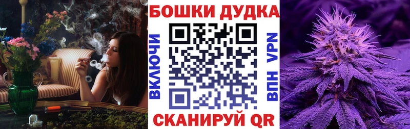 мега ТОР  дарк нет формула  Марихуана индика  что такое наркотик  Железногорск 